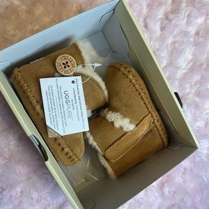 🐻UGG  - - I LEMMY II🐻